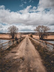 Fototapeta premium Long Dirt Road Surrounded by Barren Trees Leading to Distant Hills Under a Cloudy Sky in Autumn
