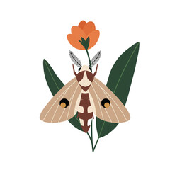 butterfly on a flower