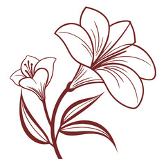 floral branch, Floral poster, Floral graphic elements big vector set, Flowers and plants hand drawn illustrations, Hand drawn flower set, design elements, vector set