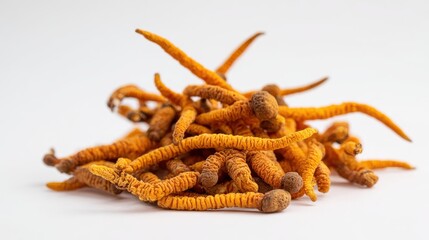 Cordyceps,cordyceps mushrooms in a pile, focus on,health benefits,realistic,Composite,white background,