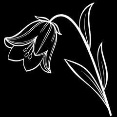 isolated Flower on transparent background, Flowers in modern simple, Cute round flower plant nature collection, Vector illustrator, Watercolor flower frame Rose Eucalyptus, Template wedding invitation