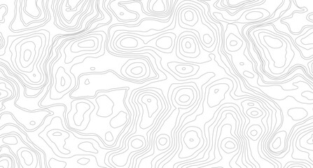 Topographic Background. Abstract wavy and curved lines background. Abstract pattern with Lines. Background of the Topographic Map. Abstract geometric topographic contour map
