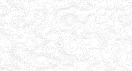 The stylized colorful abstract topographic map with lines and circles background. Abstract topographic contours map background. 