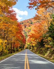 Autumn road through colorful forest