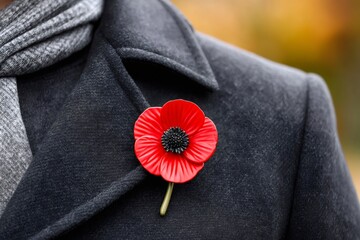 Politician wearing red poppy flower for remembrance day commemorations