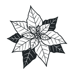 Obraz premium Colorful poinsettia plant illustration botanical art home decor minimalist design view floral concept. Vector illustration