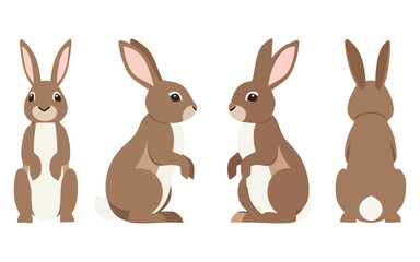 Fototapeta premium Minimalist vector of a rabbit from different angles