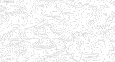 Abstract Topographic Pattern Banner Background. 