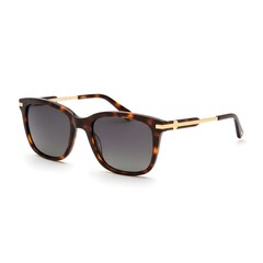 Stylish tortoiseshell sunglasses with gold accents on white background
