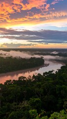 Obraz premium Lush rainforest river at sunrise
