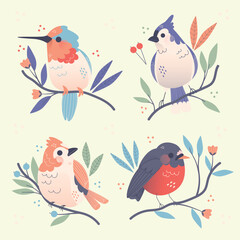 birds vector design illustration
