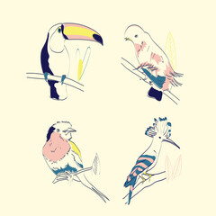 birds vector design illustration
