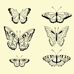 Butterfly design vector illustration