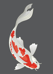 fish koi vector design illustration