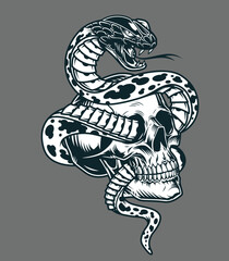 snake vector design illustration
