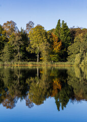 autumn reflections 