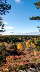 Autumn vista framed by trees
