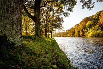 Autumn walks by the river 