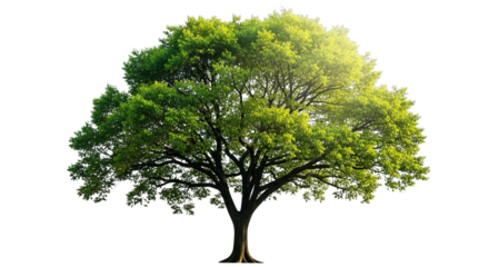 Vibrant Glitch Art Tree Nature Digital Design