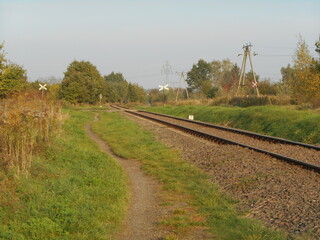 Railway track and trees