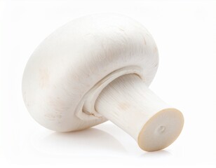 White Mushroom with Round Cap and Natural Stem Isolated on White Background for Botanical Object, Edible Fungus and Organic Food Concept