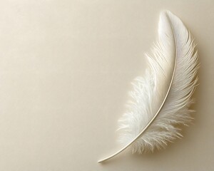 A single delicate white feather on a soft textured neutral background evoking a sense of lightness and purity