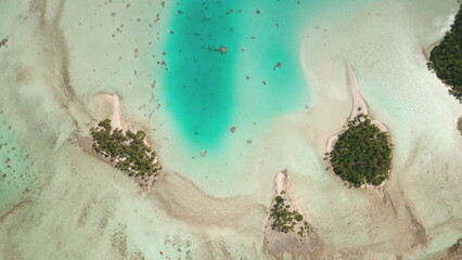 French Polynesia, Rangiroa island: Crystal clear turquoise waters gently caressing the shores of...
