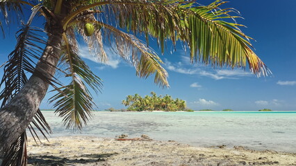 French Polynesia, Rangiroa island: Coconut palm tree leaves framing a beautiful view of sea lagoon with turquoise water, motu island and blue sky. Wild nature travel landscape. Static shot