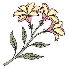 isolated flower on transparent white background, Abstract art background vector, Luxury minimal style wallpaper, line art flower and botanical leaves, Vector background for banner, poster, Web