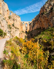 Autumnal canyon vista with bridge