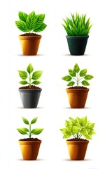 Obraz premium Vibrant Plant Growth in Various Pots