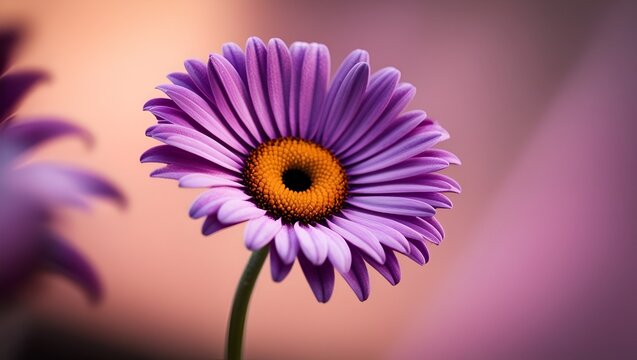 Selective focus macro shot of a purple African daisy in bloom, with sharp detail on the petals and blurred green background for depth. - Powered by Adobe