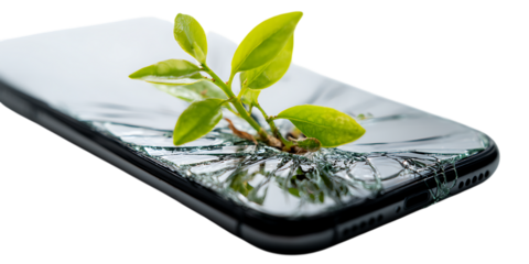 Plant growing through a cracked phone screen.