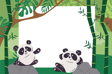 Bamboo panda bamboo banner forest jungle background concept. Vector graphic design illustration