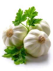 Garlic Bulb with Green Flower