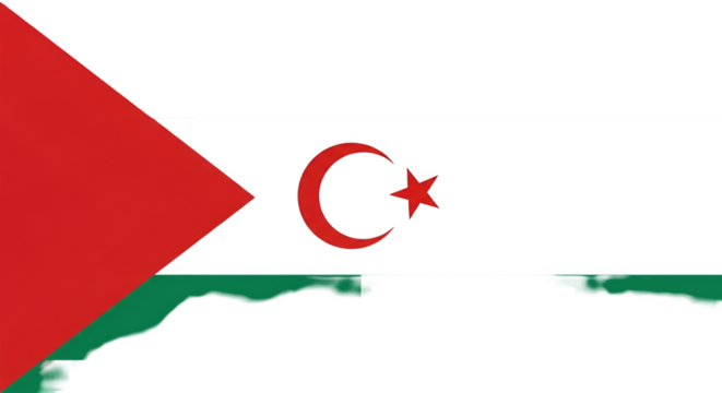 Flag of the Sahrawi Arab Democratic Republic