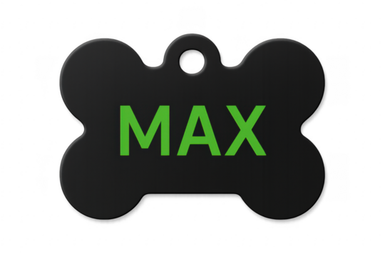 Black dog tag with the name Max showing on a transparent background