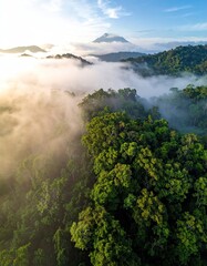 Fototapeta premium Lush rainforest canopy, shrouded in morning mist, with a distant mountain peak