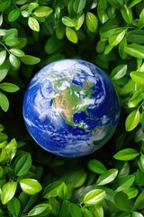 Earth