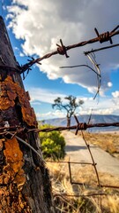 Rusty fence post, barbed wire, and country road
