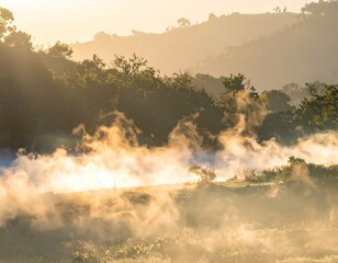 Misty sunrise over a valley