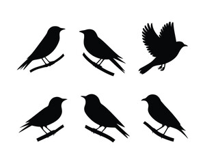 Fototapeta premium A versatile collection of six bird silhouettes, featuring various poses like perching on a branch and flying, isolated on a white background as vector icons