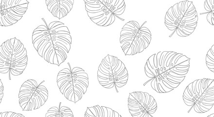 Elegant outline pattern of tropical monstera leaves on a clean white background