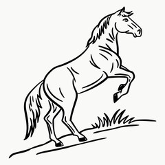 Fototapeta premium Dynamic black and white line art illustration of a powerful horse rearing up on a grassy hill