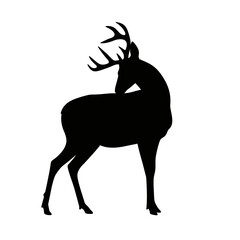 Fototapeta premium Striking Black Deer Silhouette with Majestic Antlers, Standing in Profile, Ideal for Wildlife Graphics, Nature Logos, and Outdoor Themed Illustrations