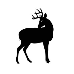 Fototapeta premium Black Silhouette of a Male Deer with Antlers Standing Against a White Background