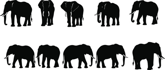 Silhouette set of elephants in various poses, wildlife animal collection, black elephant profiles, vector illustrations of majestic nature beasts © Vector Sifat