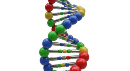 Colorful DNA Double Helix Model.