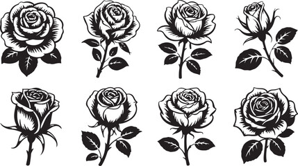 Collection of Rose Silhouette Illustrations on Transparent Background for Floral Concepts