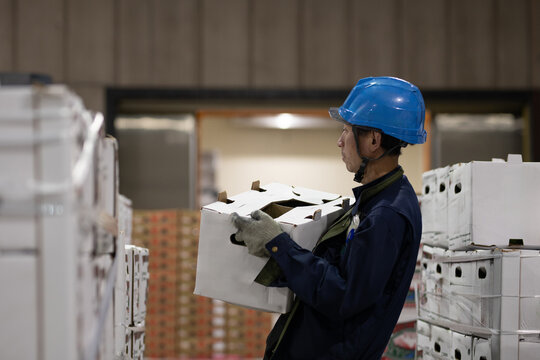 冷蔵倉庫内で作業をする男性
